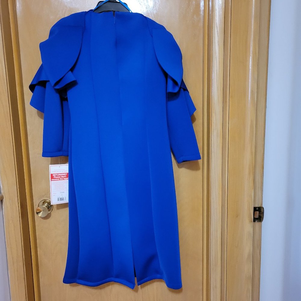 Details Details Royal Blue Dress